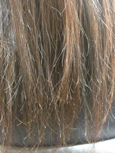 Cheveux secs et ternes